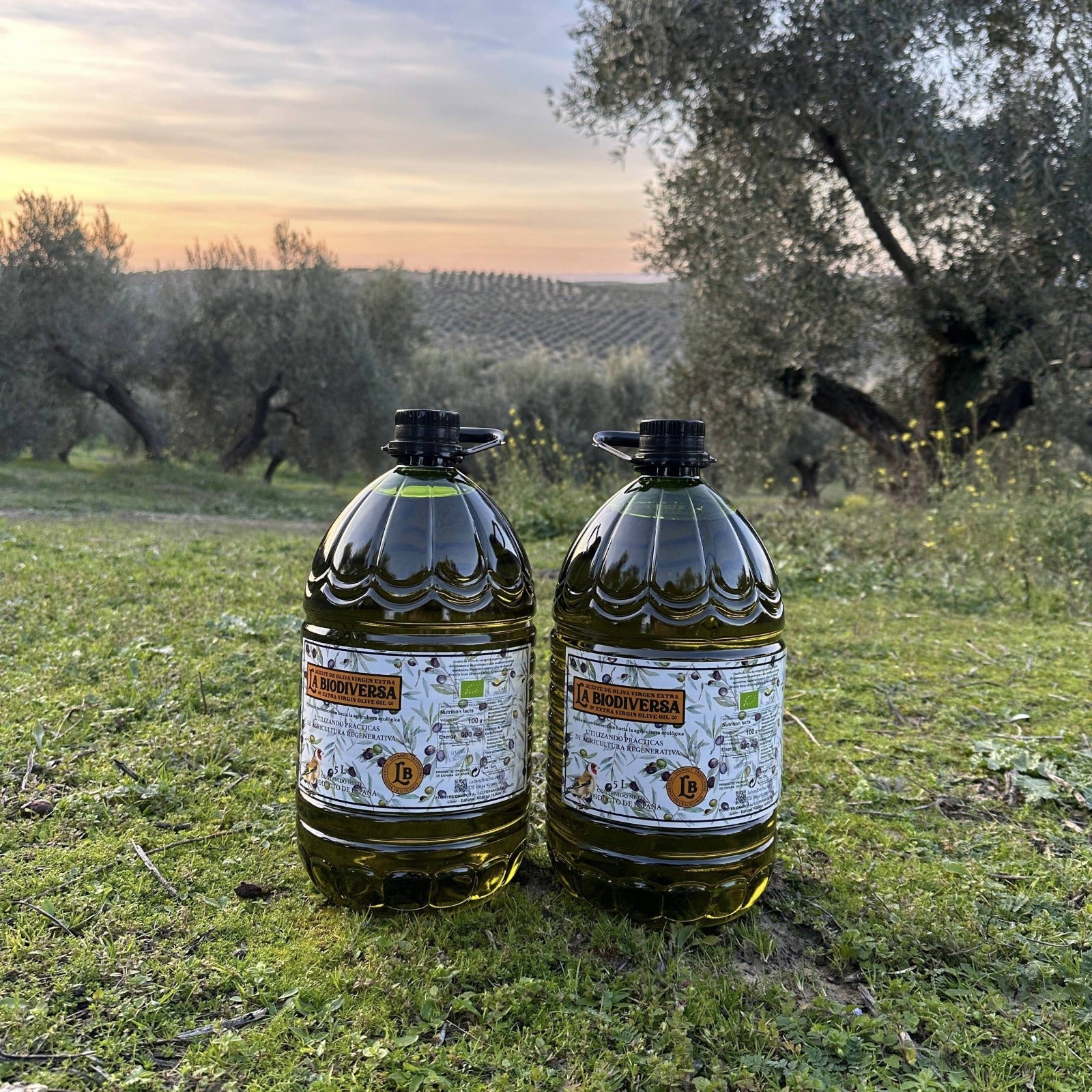 Miss Jamon - Huile Olive AOVE 5L